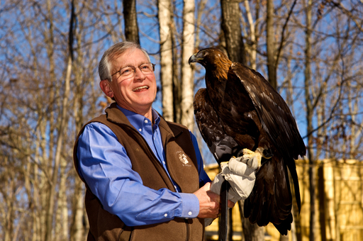 ed-clark-with-golden-eagle-md