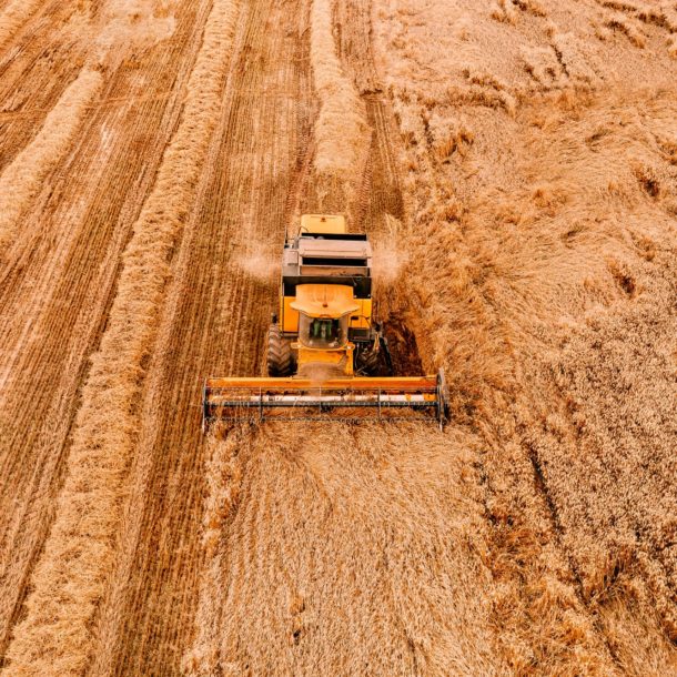 Aerial view of the combine harvester agriculture machine working on ripe wheat field.