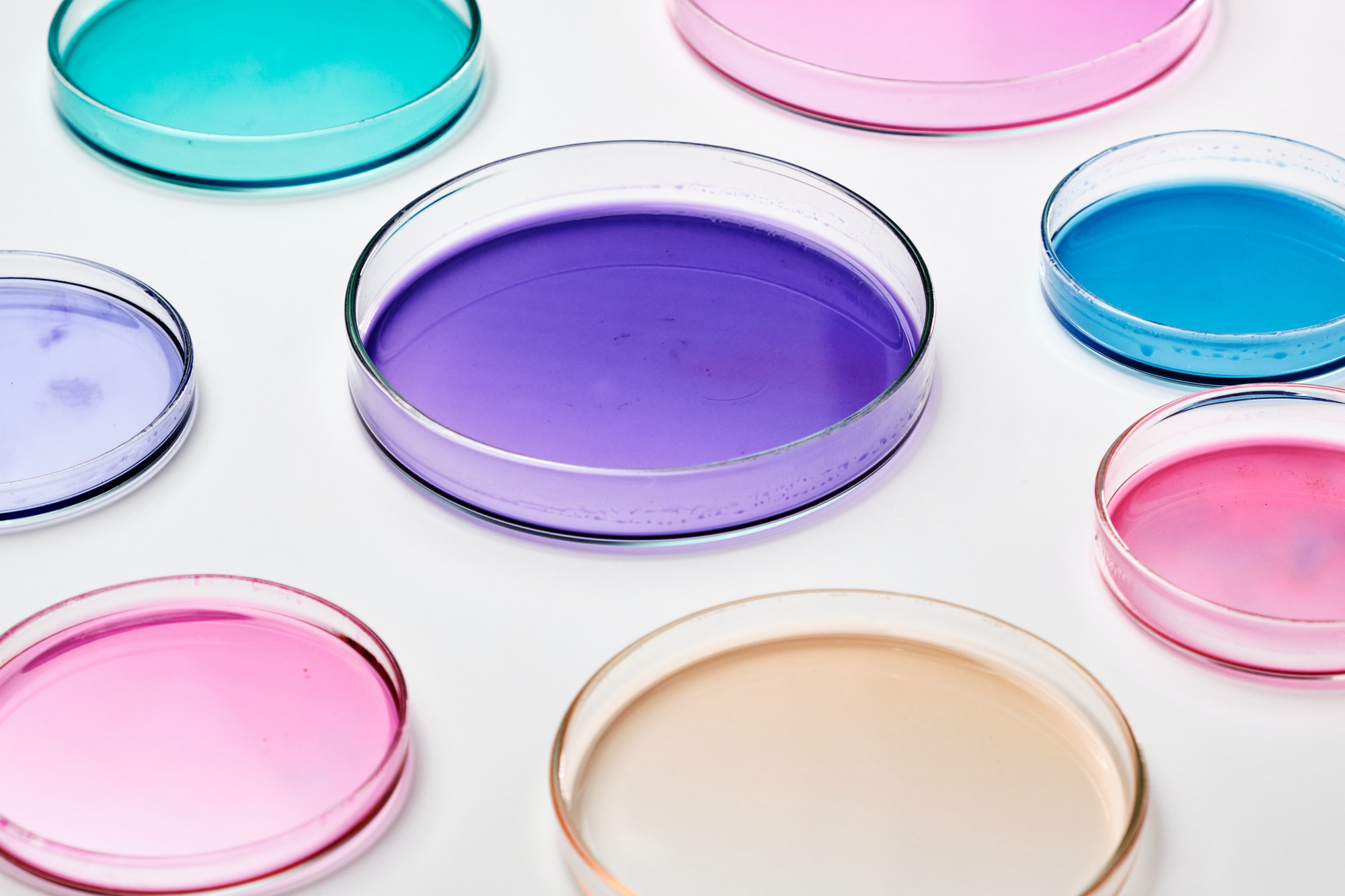 Colorful Petri dish with media in a microbiology laboratory. Chemical research with different