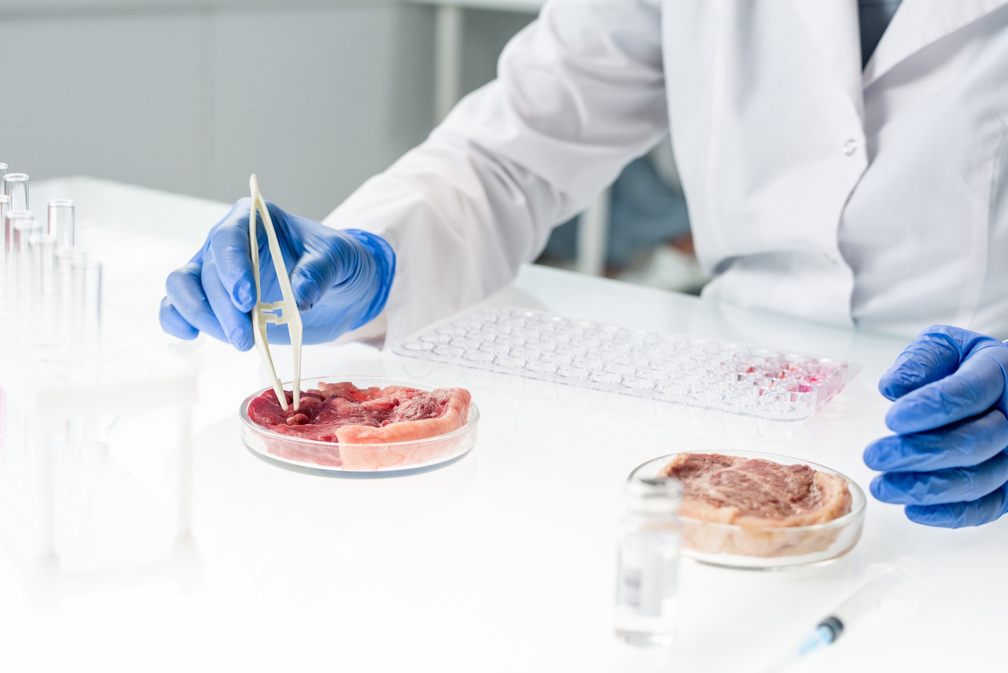 Gloved hands of researcher in whitecoat taking tiny sample of raw meat