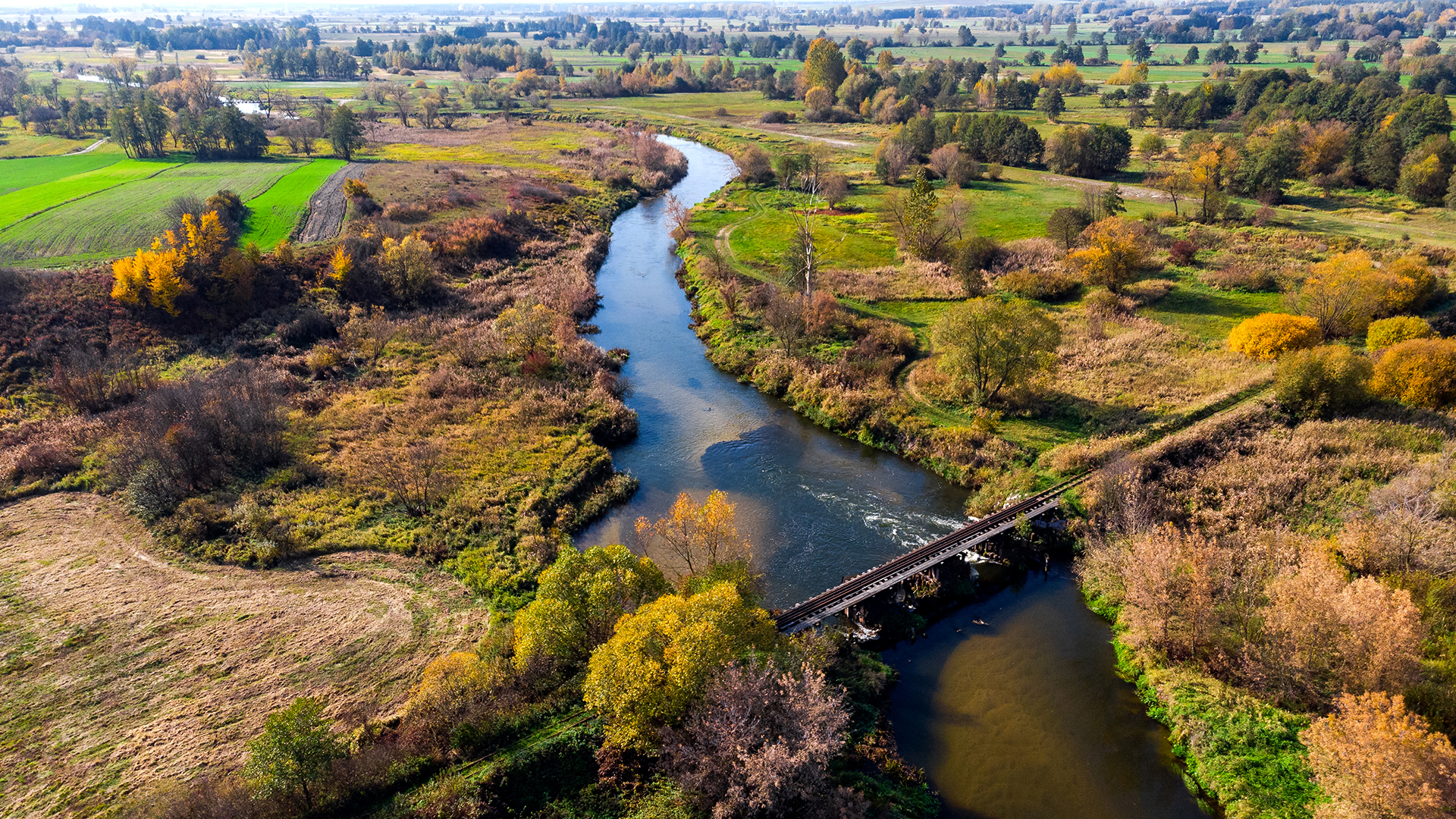 Rzeka Nida Curvy Nida River Bends in świętokrzyskie, Poland. Aerial Drone View